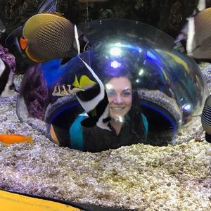 Meet your Posher, Maureen